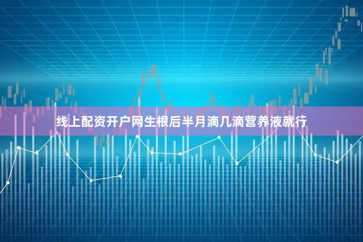 线上配资开户网生根后半月滴几滴营养液就行