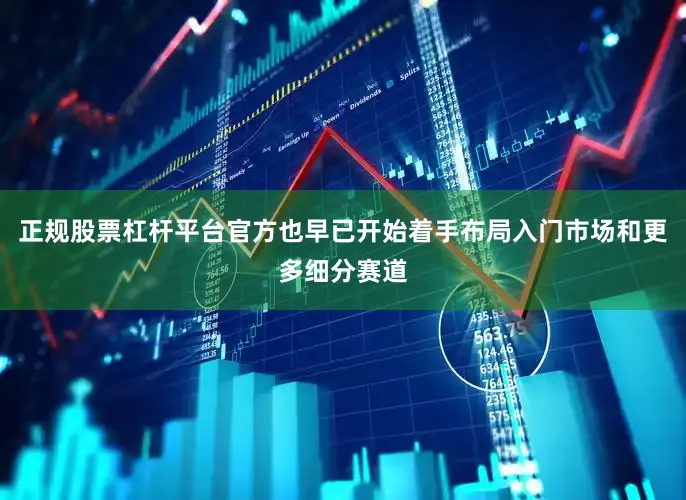 正规股票杠杆平台官方也早已开始着手布局入门市场和更多细分赛道