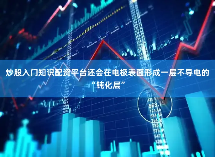 炒股入门知识配资平台还会在电极表面形成一层不导电的“钝化层”