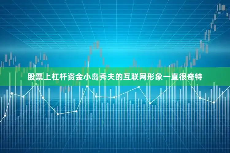 股票上杠杆资金小岛秀夫的互联网形象一直很奇特